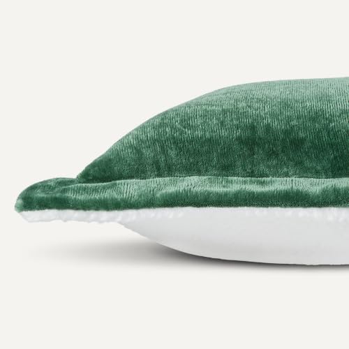 Amazon Basics Reversible Sherpa Comforter Set with Pillow Sham, Soft Warm, King, Green