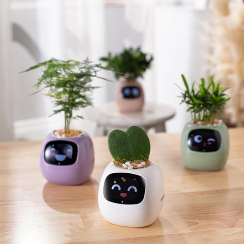PLANTSIO Smart Pet Planter APP AI Robot Garden Flower Pot Gift, Pink