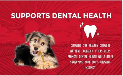 Rewardables | Healthy Chewers | Natural Collagen and Beef Sticks for Dogs | 100 Count | High Protein and Limited Ingredient Dog Chews