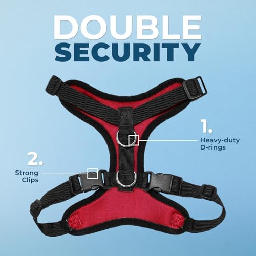 Best Pet Supplies Voyager Step-in Lock Pet Harness w Reflective Pet Leash Combo Set with Neoprene Handle 5ft - Supports Small, Medium and Large Breed Puppies/Cats - Red/Black Trim Set, L