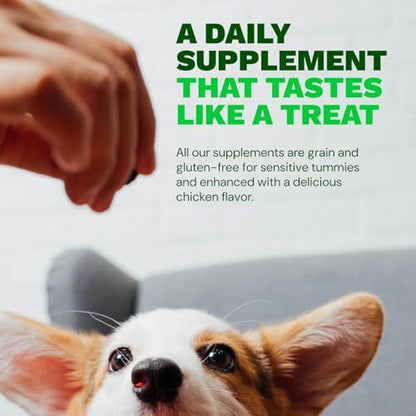 Get Joy Digestion Chews, Gut Health Supplement for Dogs, Vet Recommended Soft Daily Digestive Health & Immune Support with Prebiotics, Probiotics & Postbiotics, Made in USA, 90 Count
