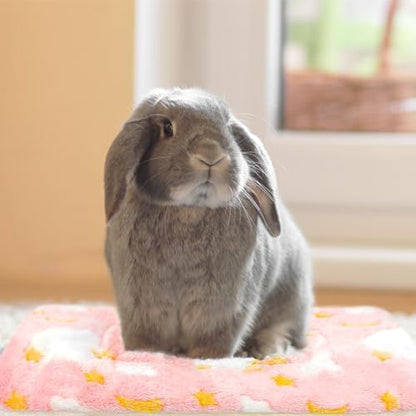 3PCS Guinea Pig Bed, Soft Rabbit Bedding, Fleece Bunny Mat