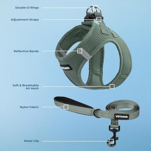 Best Pet Supplies Voyager Step-in Air All Weather Mesh Harness and Reflective Dog 5ft Leash Combo with Neoprene Handle, for Small, Medium and Large Breed Puppies - Moss Green, X-Small