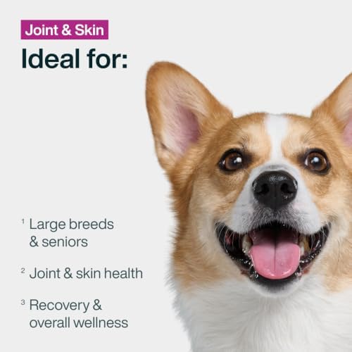 JustFoodForDogs Pantry Fresh Wet Dog Food, Complete Meal or Dog Food Topper, for Joint Health, Skin Health, Allergies, Joint & Skin Support, Pork & Quinoa - 12.5 oz (Pack of 12)
