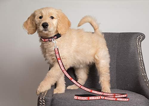 NCAA PET String, Large, Nebraska Cornhuskers, Dog String, Shiny & Colorful String for Dogs & Cats Licensed by The NCAA, Old Version