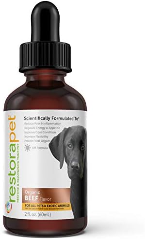 RestoraPet 1-Pack Dog & Cat Beef Liquid Multivitamin | Dog Arthritis Pain Relief | Hip & Joint Vitamins for Dogs - Anti Inflammatory Supplement for Dogs & Cats | Natural & Non-GMO, Vet Approved