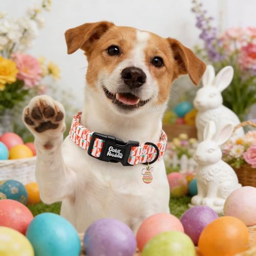 Dog Collars, Easter Orange Carrot Rabbit Print Pet Collar Holiday Cute Durable Adjustable Pendant Gift Collar with Quick Release Plastic Buckle for Large Dogs