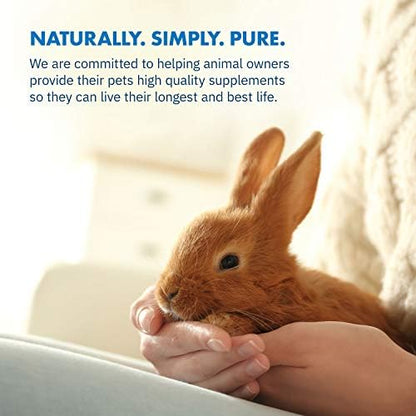 HealthyGut Probiotics for Rabbits Dietary Supplement, All-Natural Digestive System Formula (120 Servings)