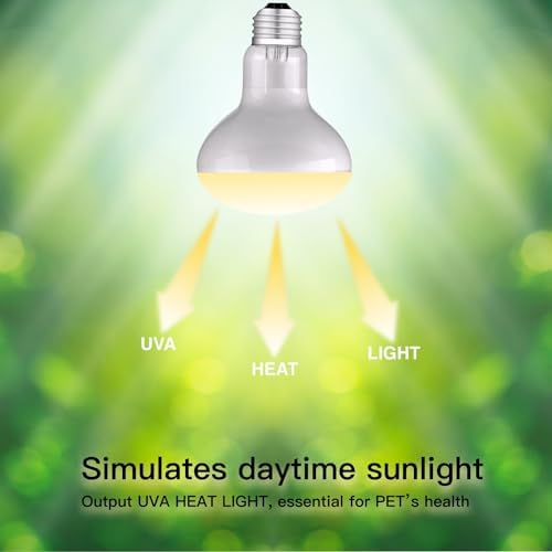 Reptile Heat Bulb Lamp, 1-Pack 100W Daylight Basking Spot, Bearded Dragon/Turtle/Lzard/Gecko Light Bulb, UVA Heat Lamp, Basking Light for Reptiles