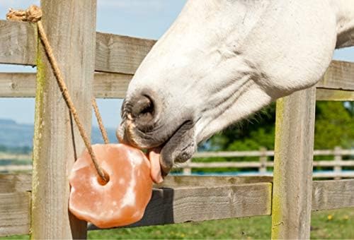 UMAID Himalayan Salt Lick 6 lbs on Rope for Horse, Deer, Goat & Livestock Animals, Salt Lick Deer, Salt Lick for Horses, Salt Block for Horses, Himalayan Salt Block 2 Pack