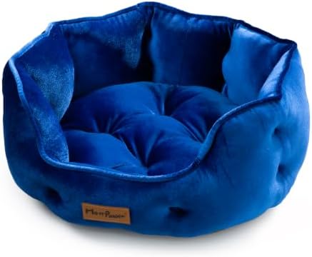 Royal Blue Cat Bed for Indoor Cats, Removable Cushion Bed