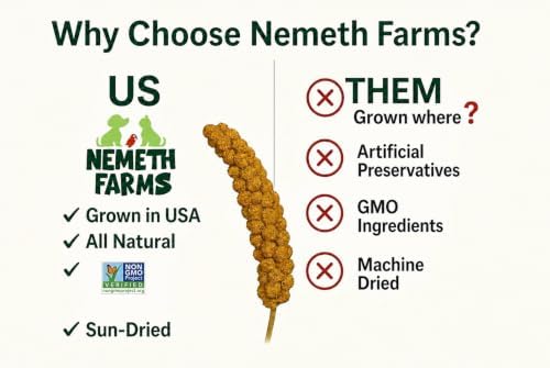 Nemeth Farms Spray Millet - Edible Tops Only, Non-GMO and Sun-Dried - 1 lb for Parakeets, Canaries and Finches