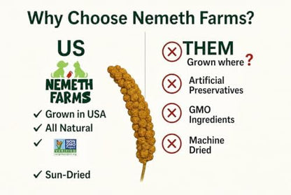 Nemeth Farms Spray Millet - Edible Tops Only, Non-GMO and Sun-Dried - 1 lb for Parakeets, Canaries and Finches