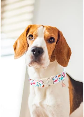 Summer Dog Collar, Adorable Dinosaur Cotton Dog Collar with Quick Release, Gift Dino Collars for Small Medium Large Boys Dogs Cute Durable Comfortable Pet Collars