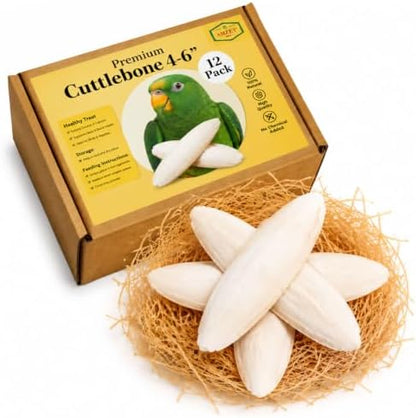 Amzey 12 Pack Cuttlebone for Birds, 4-6 Inch Natural Calcium Source for Parrots