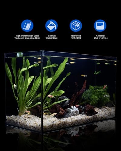 5 Gallon Glass Fish Tank, Ultra-Clear Small Aquarium