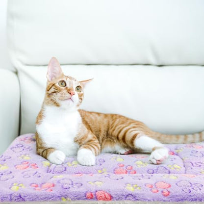 2 Pack Cat Blanket for Indoor Cat, Warm Calming Kitten Beds