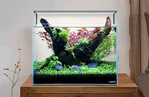 LANDEN Aquarium 45P 10 Gallon Ultra Clear Glass Rimless Fish Tank