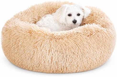 Whiskers & Friends Cat Beds for Indoor Cats & Small Dog, Fluffy Cat Bed