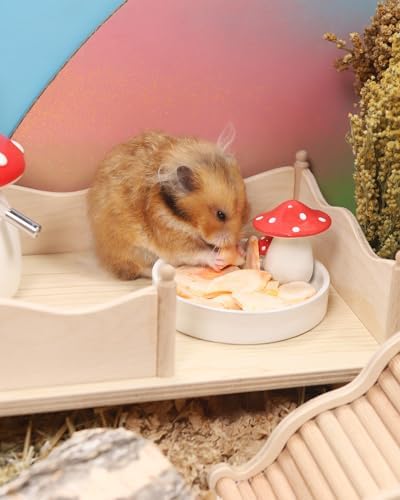 Niteangel Hamster Snack & Treats Toy - Freeze-Dried Carrots No Additive