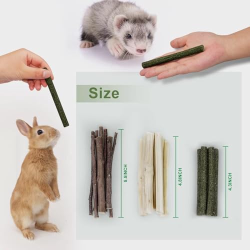 300g Guinea Pig & Rabbit Chew Toys with Apple & Timothy Sticks - Prevent Overgrown Teeth with Sweet Bamboo Treats - Ideal Rabbit Treats Included