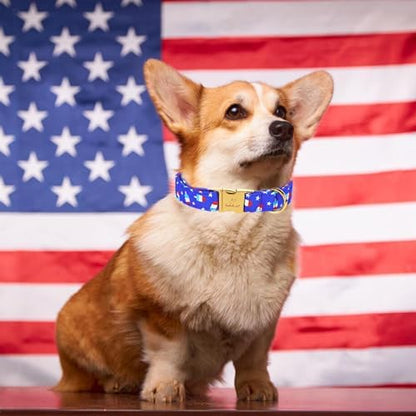 4th of July Dog Collar, Blue Flag Popsicle Patriotic Pet Collar with Metal Buckle, Adjustable Summer Holiday Dog Collars for Small Medium Large Dogs XS