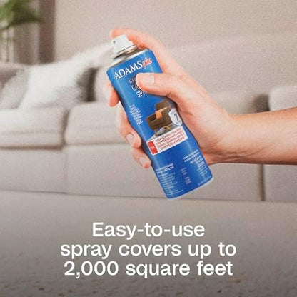 ADAMS Plus Flea & Tick Carpet Spray, Flea Spray for Home, 16 Oz