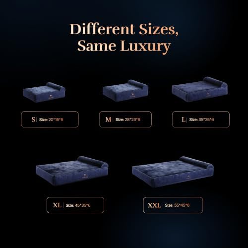 NOAH & PAW Small Dog Bed, 20x15x6.5 Inch, Cat Bed for Indoor Cats, Orthopedic Eggshell Memory Foam Infused with Cooling Gel, Water Resistant, Machine Washable, Includes Inner Cover (Denim Collection)