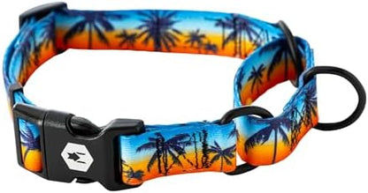Wolfgang Heavy Duty Martingale Dog Collar with Quick Release Nylon Buckle for Walking & Training, SunsetPalms Print, Medium