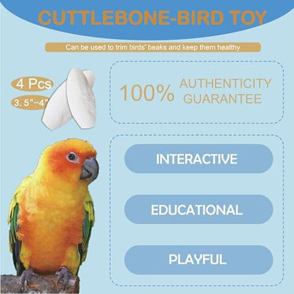 Bird Cuttlebone for Parakeets, Cuddle Bone, Birds Calcium, 3.5"-4", 4 Pcs