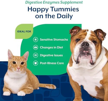NaturVet Digestive Enzymes with Pre & Probiotic for Dogs & Cats - 10 oz