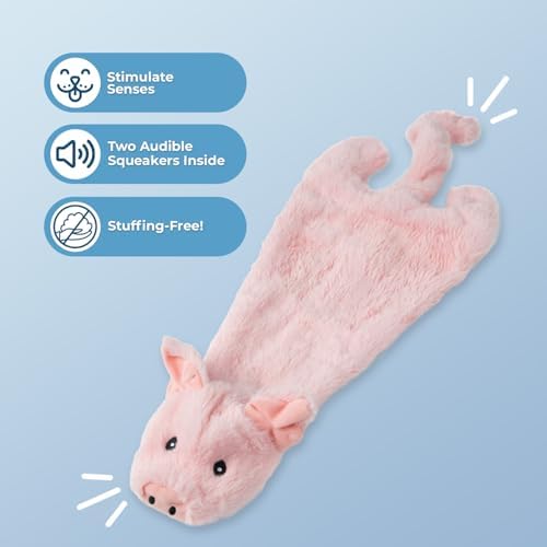 Best Pet Supplies 2-in-1 Stuffless Squeaky Dog Toy - Pig, Small