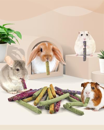 Bissap 22PCS Rabbit Chew Sticks, Natural Molar Treats for Small Pets