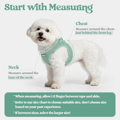 rabbitgoo Dog Harness Small Sized and Leash Set, Step-in Puppy Pet Vest