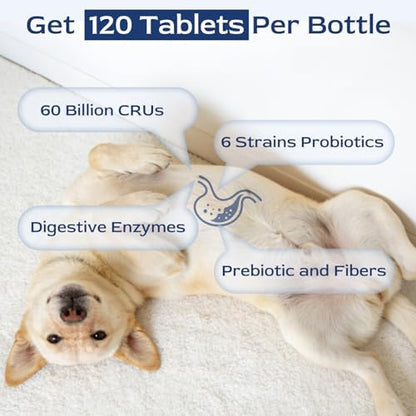 Petnanny Probiotics for Dogs Chicken Flavor Soft Chews for Digestive Health