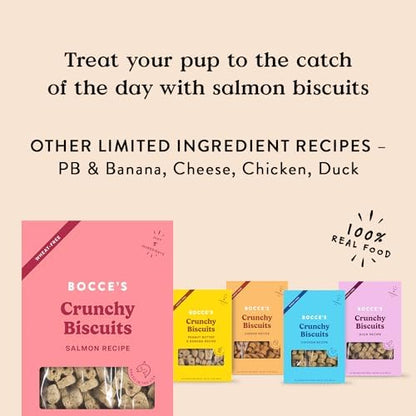 Bocce's Bakery Salmon Flavor Crunchy Biscuits Dog Treats, 14 oz