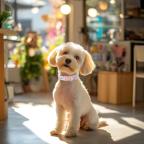 Cute Dog Collar, Spring Summer Pastel Dog Collars, Fruit Garden Dream Puppy Collar, Adjustable Heavy Duty Pet Collar for Small Medium Large Dogs with Metal Buckle XL