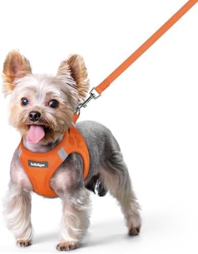rabbitgoo Dog Harness Small Sized and Leash Set, Step-in Puppy Pet Vest