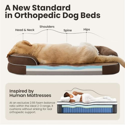 LE SURE RealOrtho™ XL 3-Layer Orthopedic Dog Beds Large Sized Dog,42" Brown