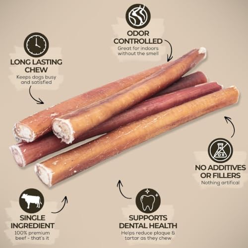 Bully Bunches Premium (6" Standard - 5 Pack) Odor-Free Bully Sticks for Small to Medium Dogs & Puppies - Consistently Sized, Long Lasting Chews for Oral Care - All Natural, 100% Beef Dog Treats