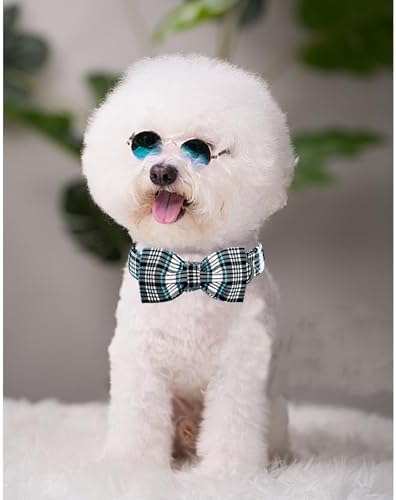 Lionheart glory Dog Bow Collar Blue and Black Plaid Dog Collar for Small Dogs,Boy Dog Collars with Bowtie Spring Summer Collars Soft Adjustable Pet Collar Bows