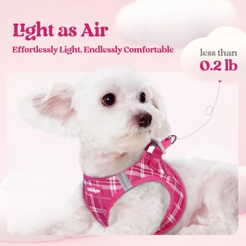rabbitgoo Dog Harness Small Sized and Leash Set, Step-in Puppy Pet Vest
