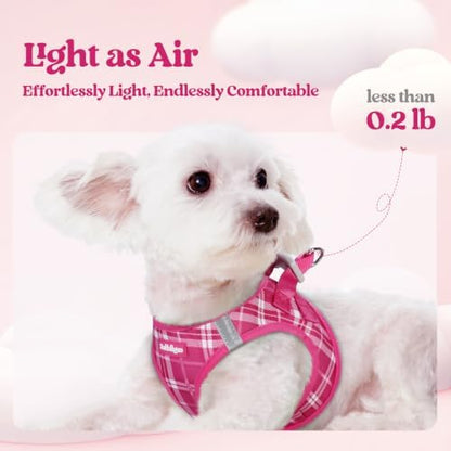 rabbitgoo Dog Harness Small Sized and Leash Set, Step-in Puppy Pet Vest