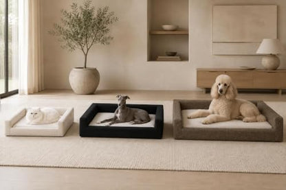 Mini Cloud Bed - Removable and Washable Covers - Upholstered Minimalist Modern Luxury - Toddler Baby Pet Dog Cat Nursery (Cream Boucle, Medium)