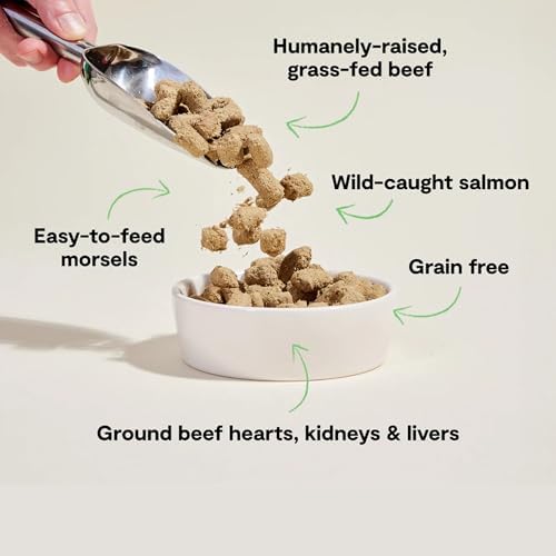 Open Farm Freeze Dried Raw Dog Food, Surf & Turf Morsels, 22oz Bag