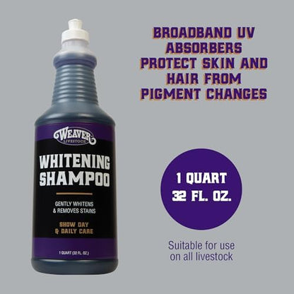 Weaver Livestock Whitening Shampoo for Horses, Pigs, Cattle, Gentle, and Effective Coconut-Based Hide, Hair, and Shampoo, Daily Use, Cattle Show Supplies