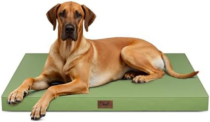 Jumbo Waterproof Orthopedic Dog Bed for Extra Large Dogs
