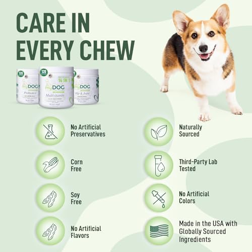 Hip & Joint Supplement for Dogs – 120 Soft Chews, Bacon Flavor | Glucosamine, Chondroitin & MSM for Mobility, Flexibility & Cartilage Support | for All Breeds