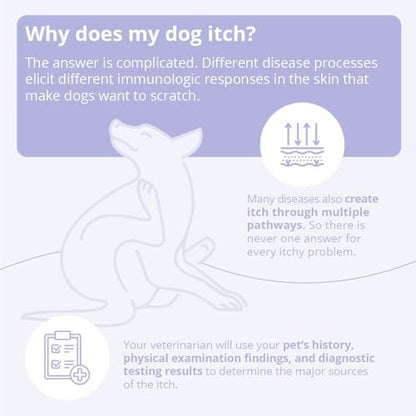Mal-A-Ket Shampoo for Dogs and Cats, 8 oz
