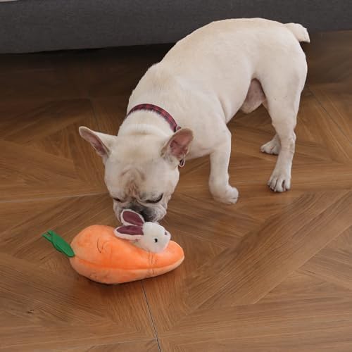 Amazon Basics Interactive Hide and Seek Squeaky Dog Plush Toy with Squeaker for Small Dogs, Rabbit and Carrot, Orange and White, 5-Pack